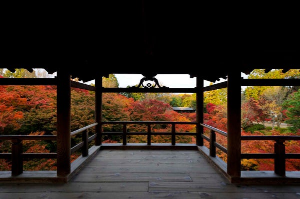 【山口県内発】 紅葉の京都名所12景めぐり3日間2
